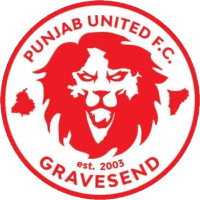 Punjab United clublogo
