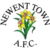 Newent Town club logo