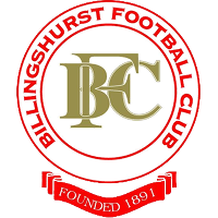 Billingshurst club logo