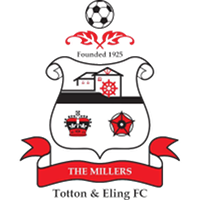 Totton & Eling club logo