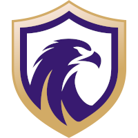 Logo of Falcon FC