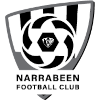 Narrabeen club logo