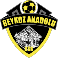 Logo of Tuzlaspor