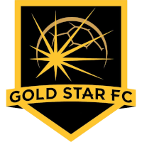Gold Star FC Detroit logo