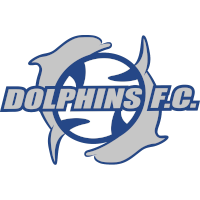 Dolphins club logo