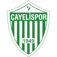 Çayelispor logo