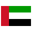 United Arab Emirates logo