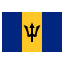 Barbados U15 club logo