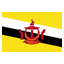 Brunei Darussalam clublogo