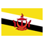 Brunei Darussalam logo