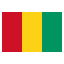 Guinea club logo