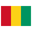 Guinea logo