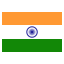 India logo