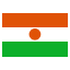Niger club logo