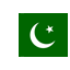 Pakistan U19 club logo