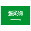 Saudi Arabia club logo