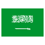 Saudi Arabia U19 logo