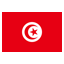 Tunisia U20 club logo