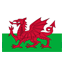 Wales U21 club logo