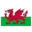 Wales U17 club logo