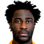 Wilfried Bony Profile Photo