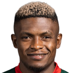 Jerome Ngom Mbekeli photo