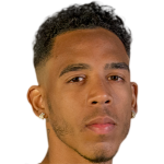 Profile photo of Pedro Vitor