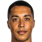 Youri Tielemans profile photo