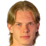 Profile photo of Aleksi Honka-Hallila