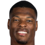 Profile photo of Denzel Dumfries