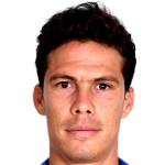 Hernanes photo