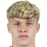 Felix Meiser profile photo